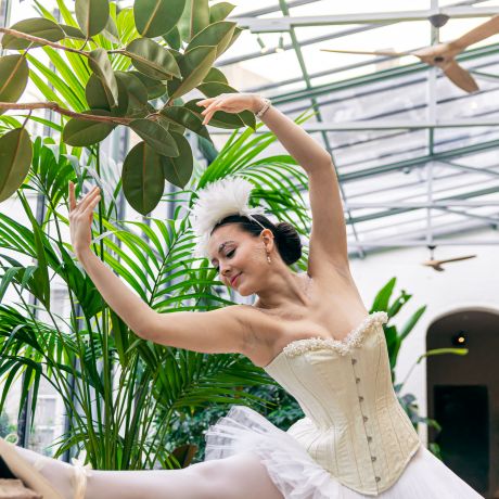 La R&ecirc;verie de Symphonie